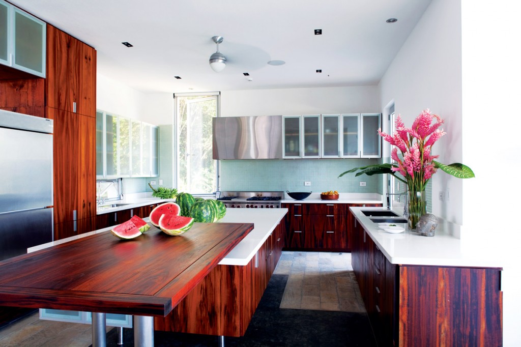 Kitchen, Casa Torcida, Costa Rica