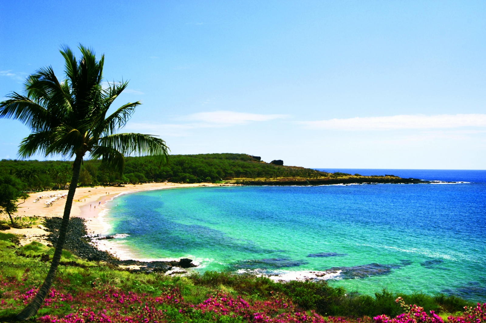 four seasons lanai