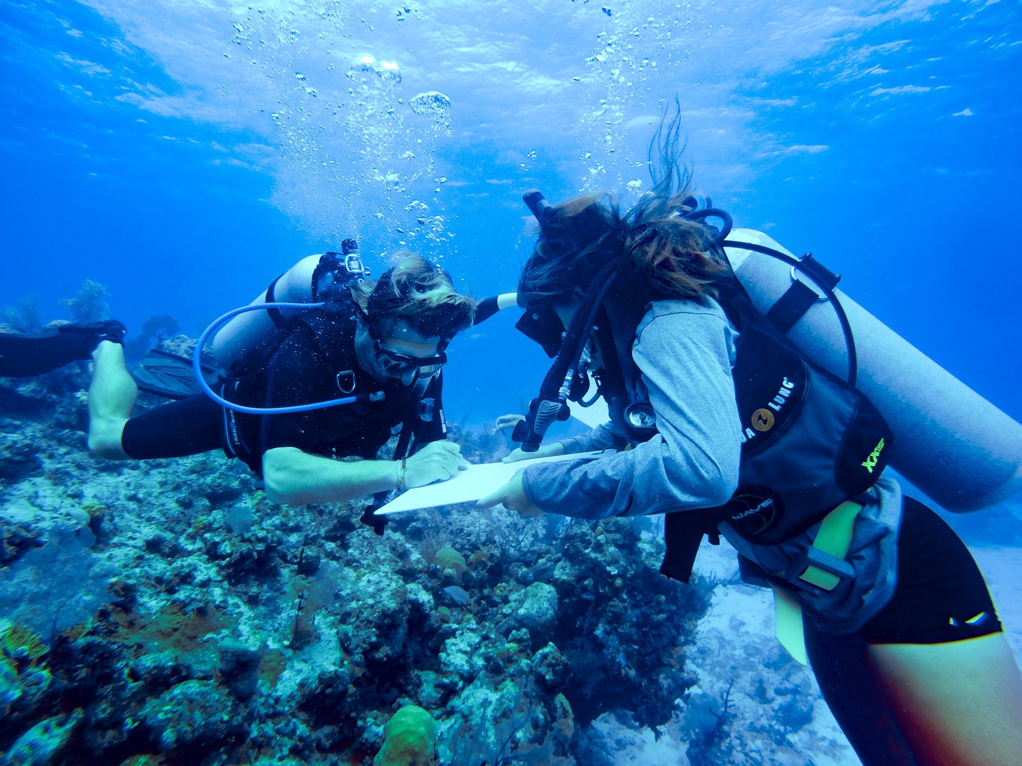 Island School In The Bahamas Launches Leaders Ocean Home magazine