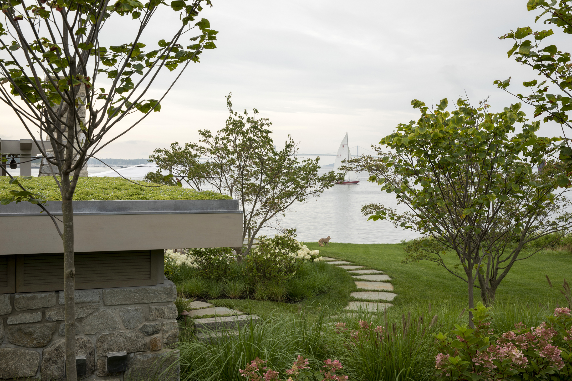 A planted green roof preserves sightlines across a garden to Newport Harbor
