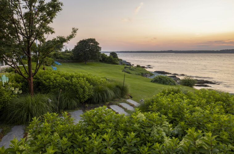 Hydrangea, grasses, and open lawn descend to the rocky Newport shoreline