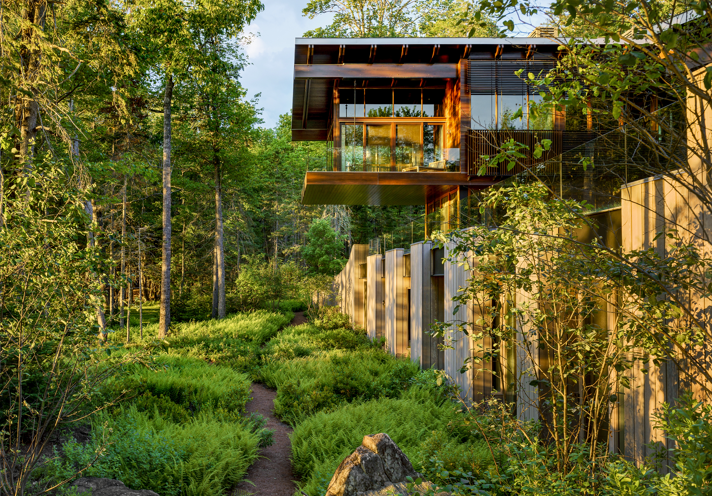 The cantilevered primary suite projects into the forest canopy