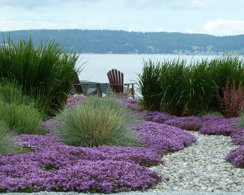 Six Coastal Landscapes - Ocean Home magazine